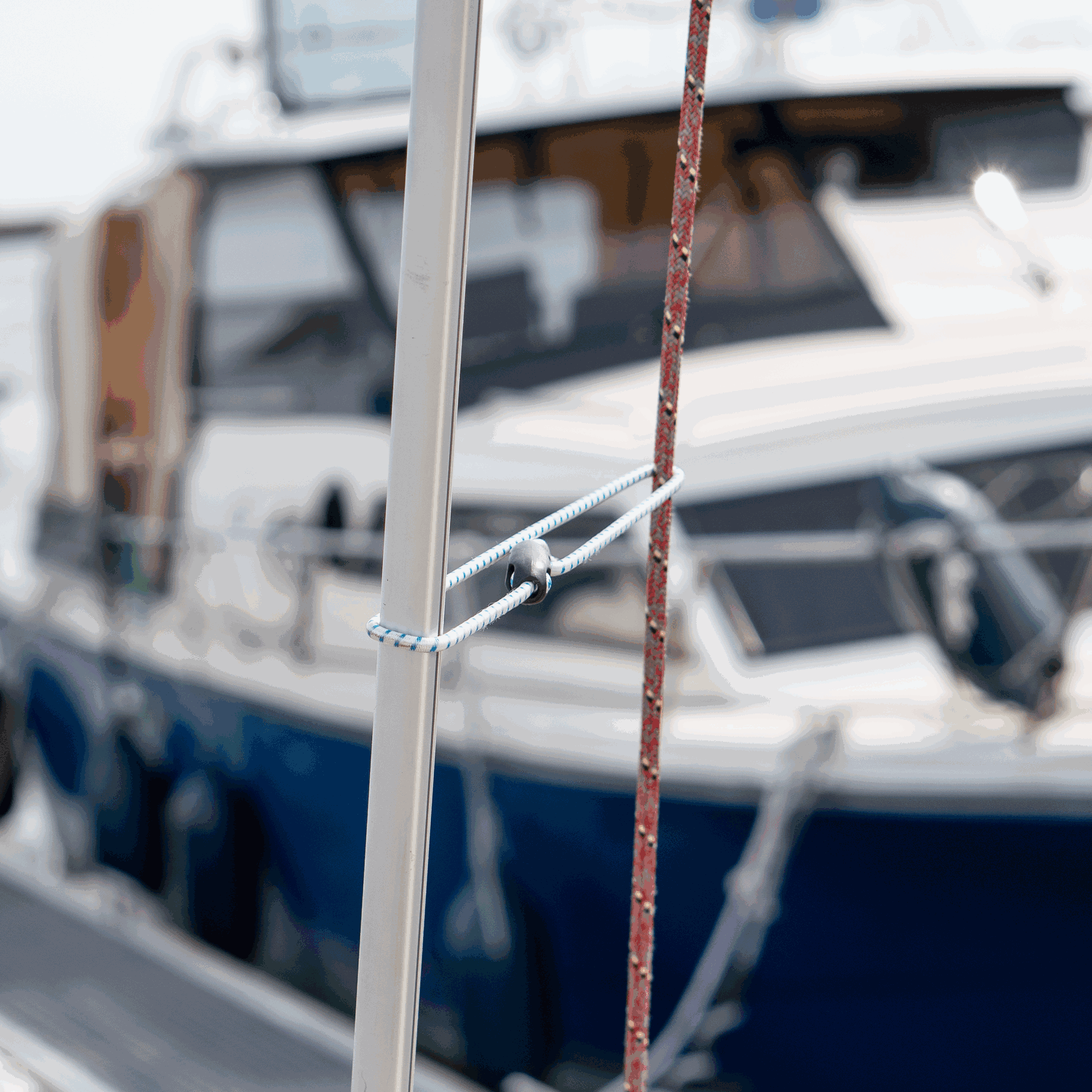 Zeisinge mit Quickclip - 4er Pack