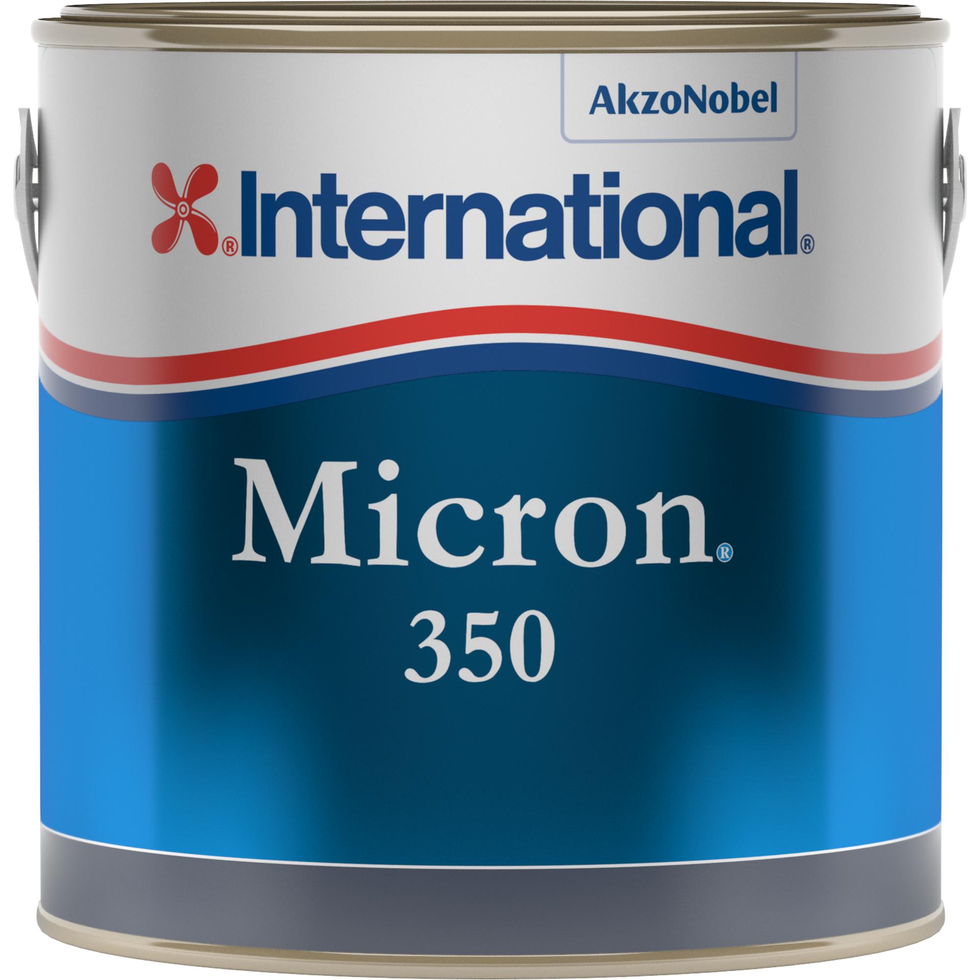 Micron 300